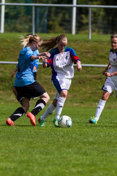 Bild 272 - B-Juniorinnen SV Henstedt Ulzburg - Frauen Bramfelder SV 3 : Ergebnis: 9:0